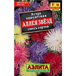 Астра Аллея звезд (смесь) лидер (Код: 90079)