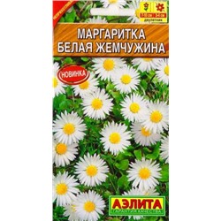 Маргаритка Белая жемчужина (Код: 85543)