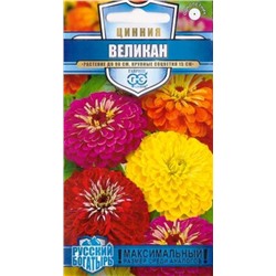 Цинния Смесь великанов (Код: 84703)