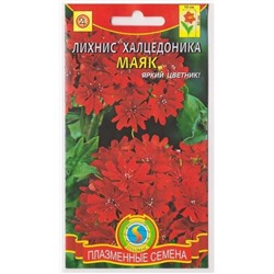 Лихнис Халцедоника Маяк (Код: 75971)