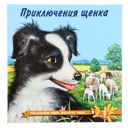 Книжка «Приключения щенка», 16 стр., познаём мир вокруг нас