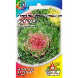 Капуста декоративная Богема (Код: 86429)