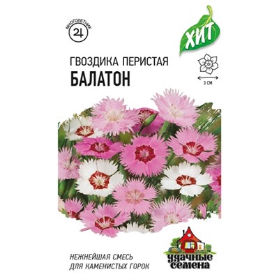 Гвоздика Перистая Балатон (Код: 68285)