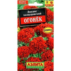 Лихнис Огонек (Код: 88855)