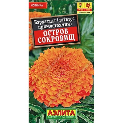 Бархатцы Остров сокровищ (Код: 90981)