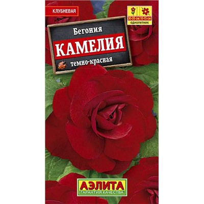 Бегония Камелия темно-красная (Код: 70915)