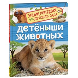 Энциклопедия для детского сада «Детёныши животных», Клюшник Л. В.