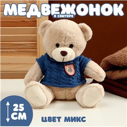 Мягкая игрушка «Медвежонок» в свитере, 25 см, цвет МИКС