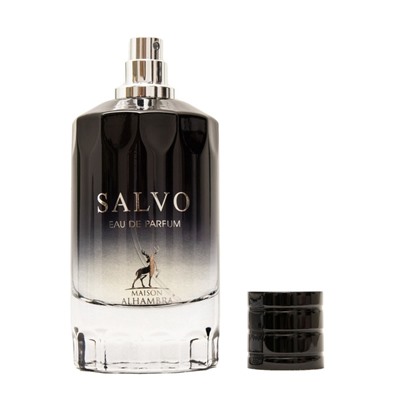 Парфюмерная вода мужская Salvo (по мотивам Dior Sauvage), 100 мл