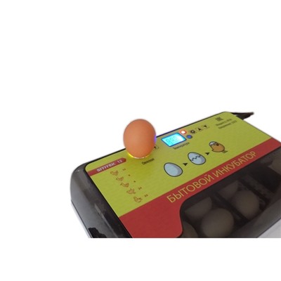 Инкубатор автоматический с универсальными лотками, вместимость до 12 яиц, встроенный овоскоп