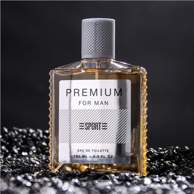 Туалетная вода мужская Sport Premium, 100 мл (по мотивам Egoiste Platinum (Chanel)