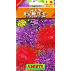 Астра Валентина (Код: 68580)