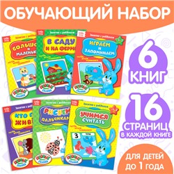 Обучающие книги «Полный годовой курс. Серия от 0 до 1 года», 6 книг по 16 стр., в папке