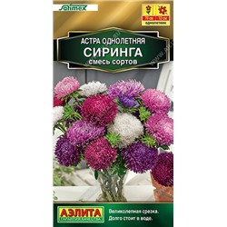 Астра Сиринга (смесь) (Код: 91748)