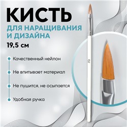 Кисть для наращивания и дизайна ногтей, лепесток, 19,5 см, ворс 5 × 18 мм, в пластиковом футляре, цвет белый