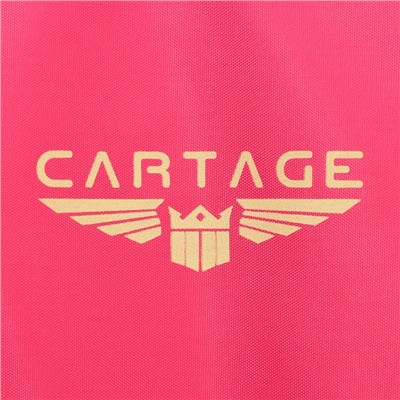 Термосумка Cartage Т-23, розовый, 18 л, 35х21х24 см