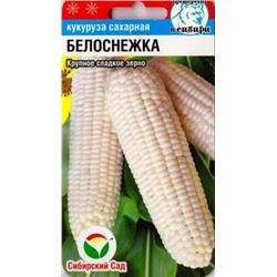 Кукуруза Белоснежка (Код: 87358)