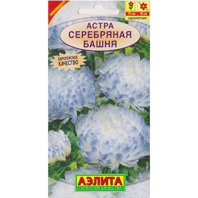 Астра Серебряная Башня (Код: 9604)