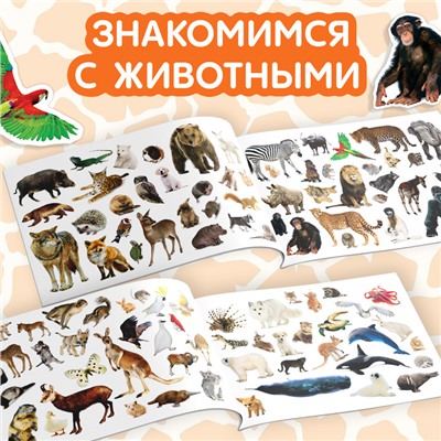 100 наклеек «Животные со всего света», 12 стр.