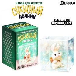 Новый год! Набор для опытов «Снежный ночник: Кролик», своими руками