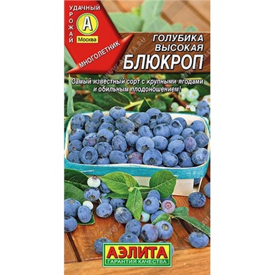 Голубика Блюкроп (Код: 90906)