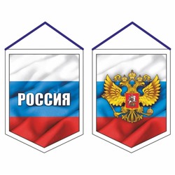 Вымпел "Россия", 100 х 140 мм, двусторонний