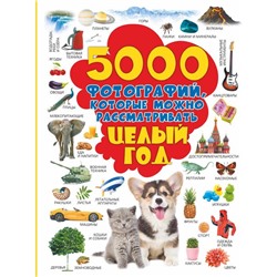 5000 фотографий, которые можно рассматривать целый год. Долманская Л.В.