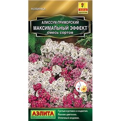 Алиссум Максимальный эффект (Код: 90968)