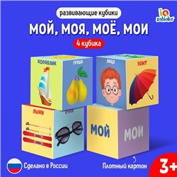 Развивающие кубики «Мой, моя, моё, мои», 4 элемента, 3+