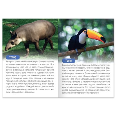 Набор обучающих книг «Узнаём вместе. Животные нашей планеты», 4 шт. по 20 стр.
